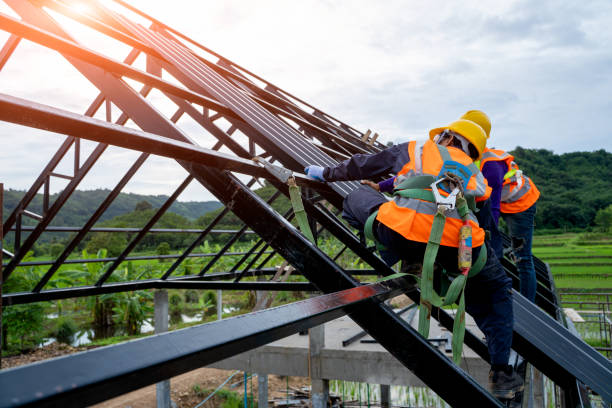 Best Metal Roofing Contractor  in Magee, MS