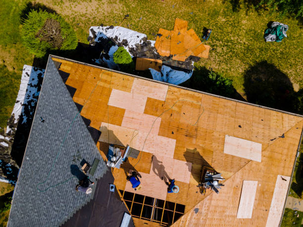 Best Best Roofing Contractors  in Magee, MS