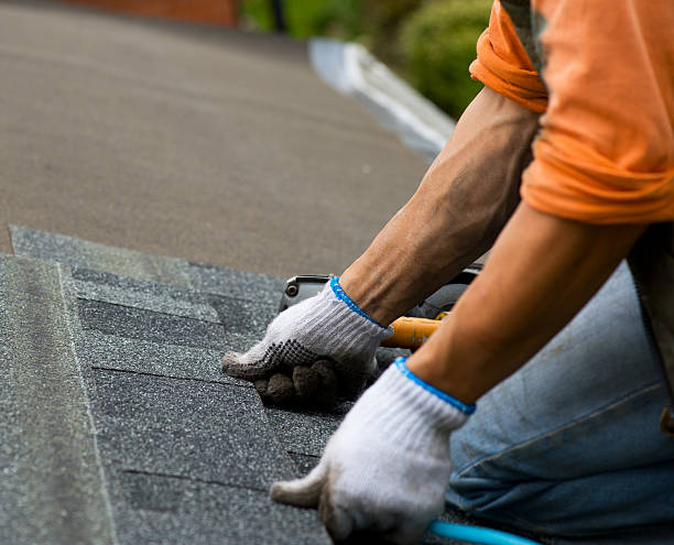 Best Storm Damage Roof Repair  in Magee, MS