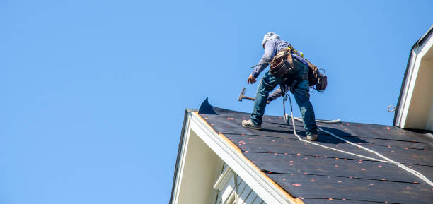 Best Local Roofing Companies  in Magee, MS